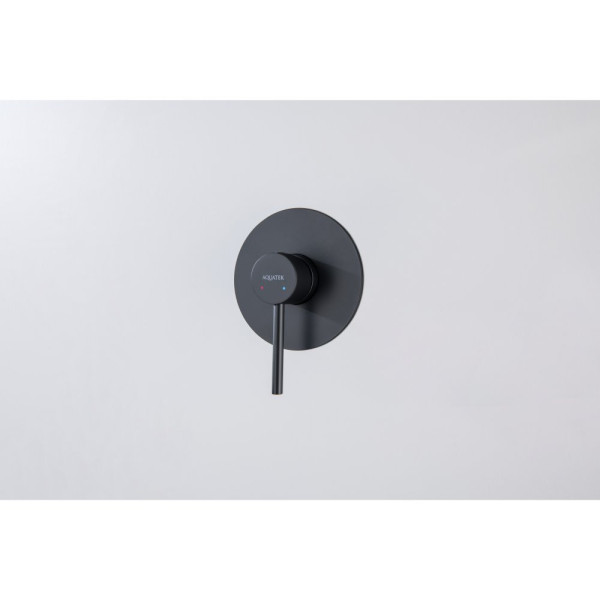 AQ1366MB ЕВРОПА смеситель для душа 1 режим (внешняя и скрытая часть), матовый черный. Фото 3