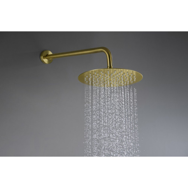 AQ1376BG ЕВРОПА Set 3 в 1 душевой комплект 2 режима, шлиф. золото. Фото 2