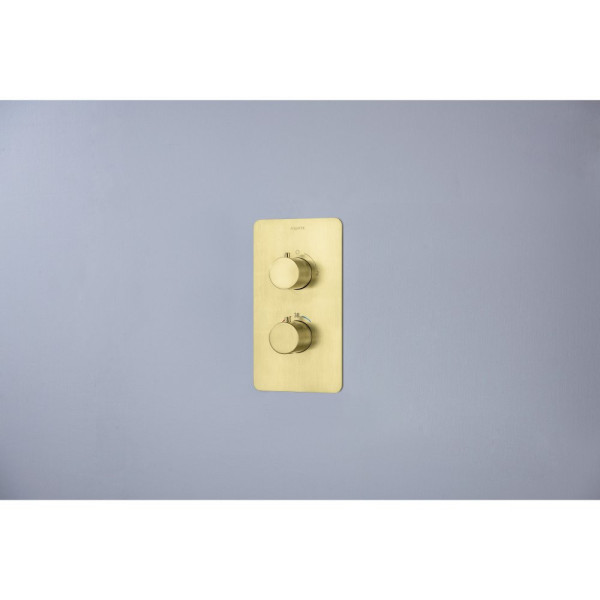 AQ1376BG ЕВРОПА Set 3 в 1 душевой комплект 2 режима, шлиф. золото. Фото 9