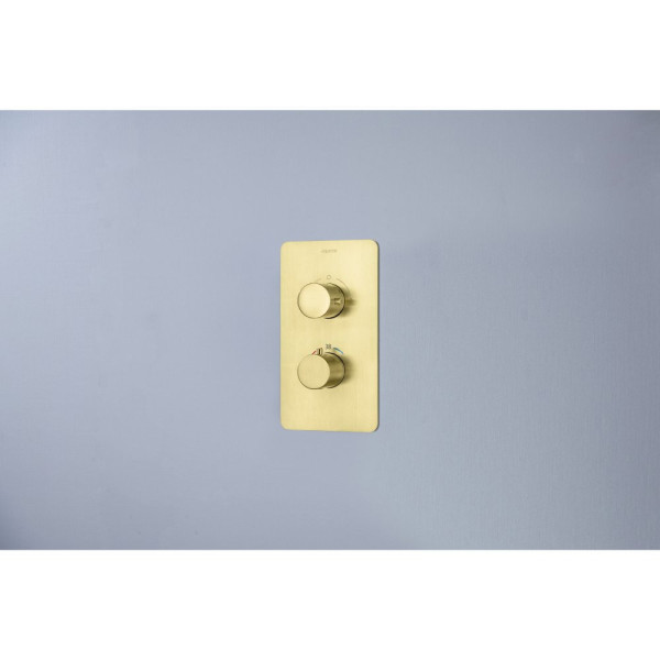 AQ1376BG ЕВРОПА Set 3 в 1 душевой комплект 2 режима, шлиф. золото. Фото 10