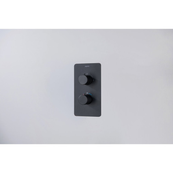 AQ1392MB ЕВРОПА термостатический смеситель для ванны 2 режима (внешняя и скрытая часть), матовый черный. Фото 2