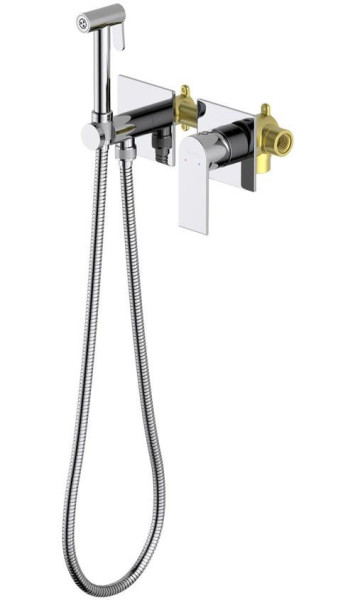 AQ1420CR ЛИРА комплект для гигиенического душа встроенный 2 отв. (смеситель + гигиеническая лейка + шланг). Фото 1