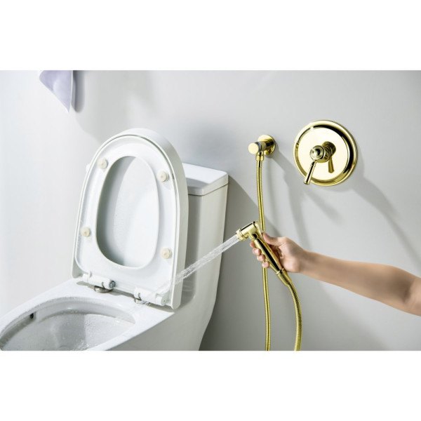 AQ1519PG КЛАССИК набор с гигиеническим душем (смеситель + гигиеническая лейка + шланг + шланговое подсоединение с держателем), полир. золото. Фото 5