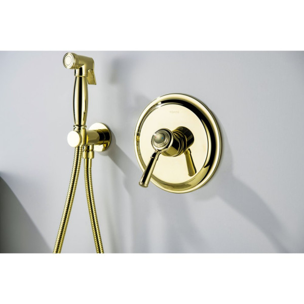 AQ1519PG КЛАССИК набор с гигиеническим душем (смеситель + гигиеническая лейка + шланг + шланговое подсоединение с держателем), полир. золото. Фото 7