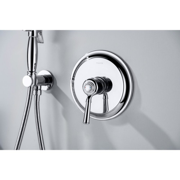 AQ1566CR КЛАССИК смеситель для душа 1 режим (внешняя и скрытая часть). Фото 2