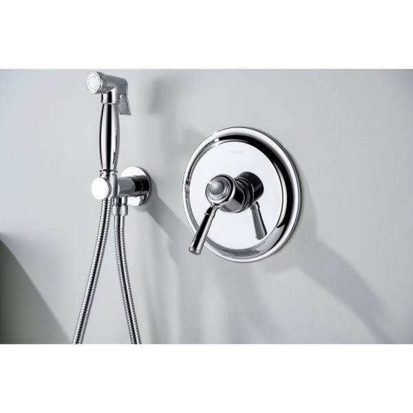 AQ1566CR КЛАССИК смеситель для душа 1 режим (внешняя и скрытая часть). Фото 3