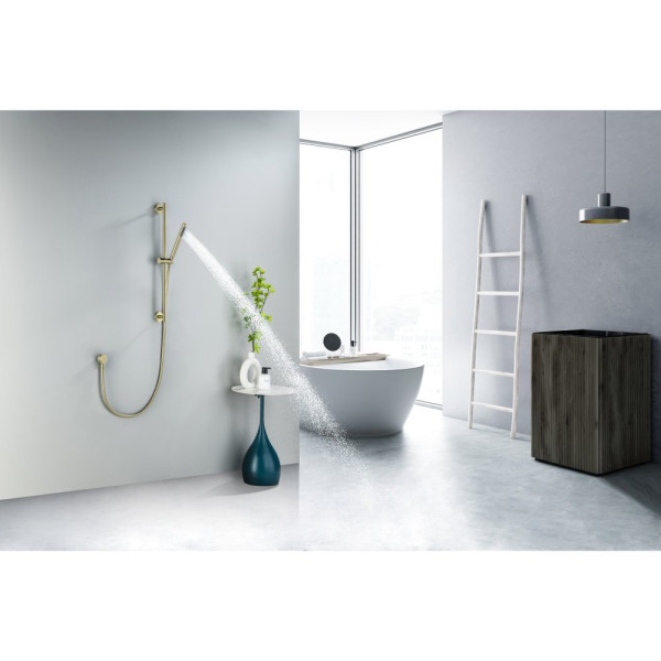 AQ2012BG ЕВРОПА душевой гарнитур 1jet 65 см, шлиф. золото. Фото 3