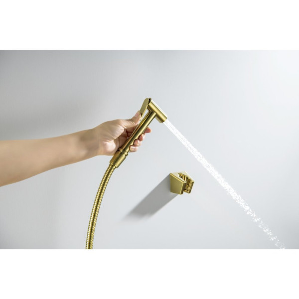 AQ2054BG гигиенический ручной душ со шлангом 120 см и держателем, шлиф. золото. Фото 4