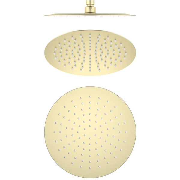 AQ2073BG круглый верхний душ 250*2 мм, шлиф. золото. Фото 1