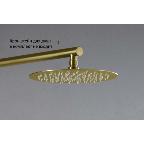 AQ2073BG круглый верхний душ 250*2 мм, шлиф. золото. Фото 2