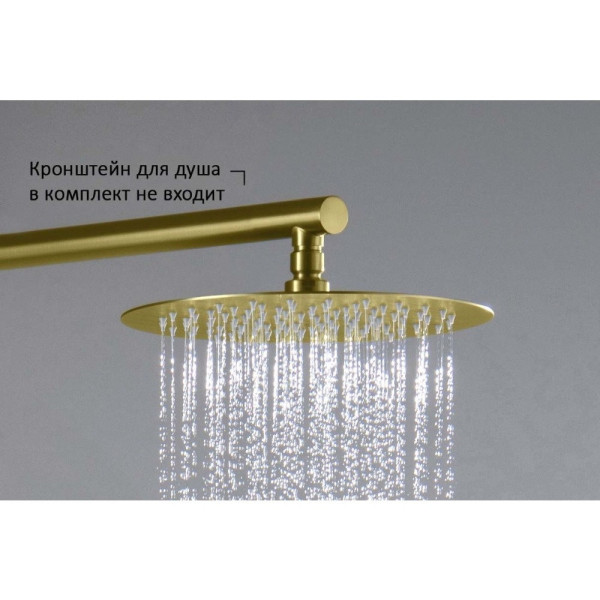 AQ2073BG круглый верхний душ 250*2 мм, шлиф. золото. Фото 5