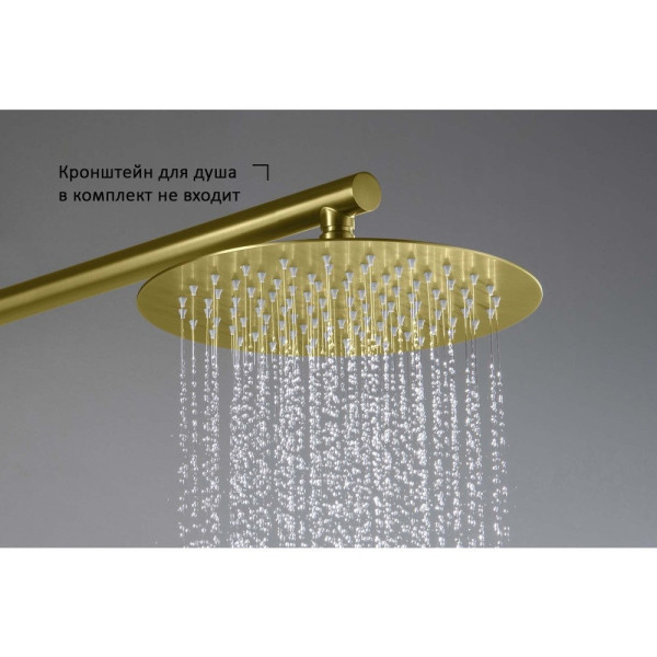 AQ2073BG круглый верхний душ 250*2 мм, шлиф. золото. Фото 6