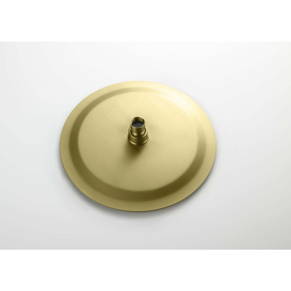 AQ2073BG круглый верхний душ 250*2 мм, шлиф. золото. Фото 7