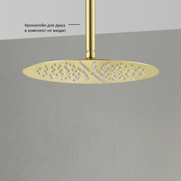 AQ2075BG круглый верхний душ 300*2 мм, шлиф. золото. Фото 7