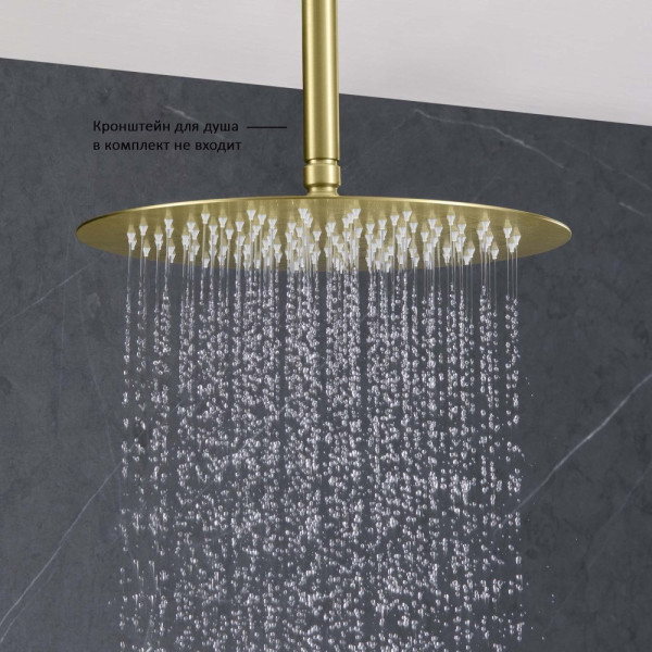 AQ2075BG круглый верхний душ 300*2 мм, шлиф. золото. Фото 8