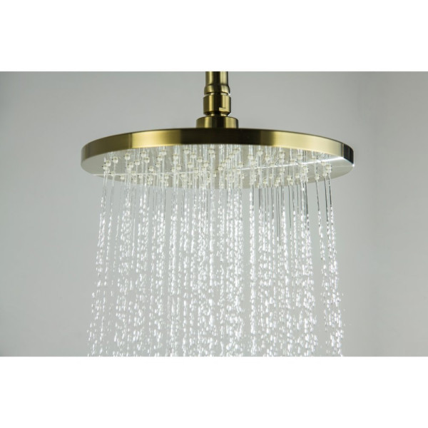 AQ2343BG ЕВРОПА термостатическая душевая система (смеситель для душа) 220мм, шлиф. золото. Фото 2