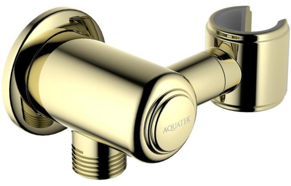 AQ2462PG КЛАССИК шланговое подсоединение с держателем, полир. золото. Фото 1