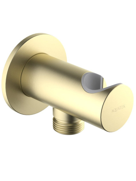 AQ2464BG шланговое подсоединение с держателем, шлиф. золото. Фото 1