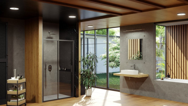 BLSDP2-110 черный+Transparent, дверь душевая. Фото 3