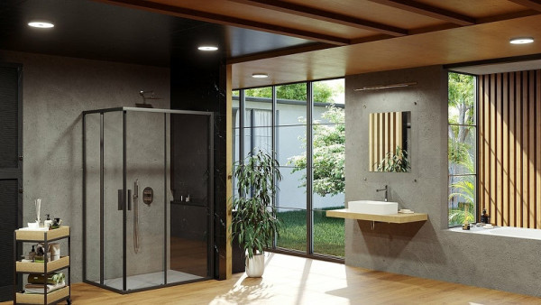 BLSRV2K-100 черный+Transparent, дверь для комбинации с дверью. Фото 4