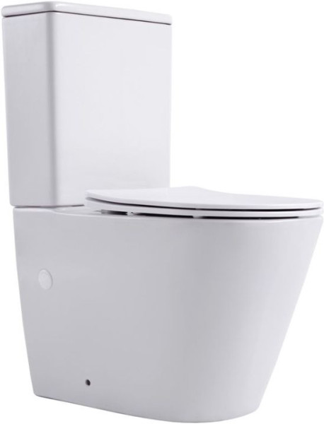 Чаша напольного унитаза Aquanet Rimless Atago 2.0 C1 LX-2904. Фото 1