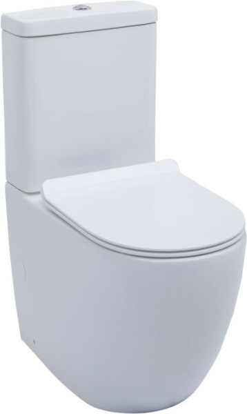 Чаша напольного унитаза Aquanet Rimless Cetus-C1 BL-102N-TPT. Фото 1