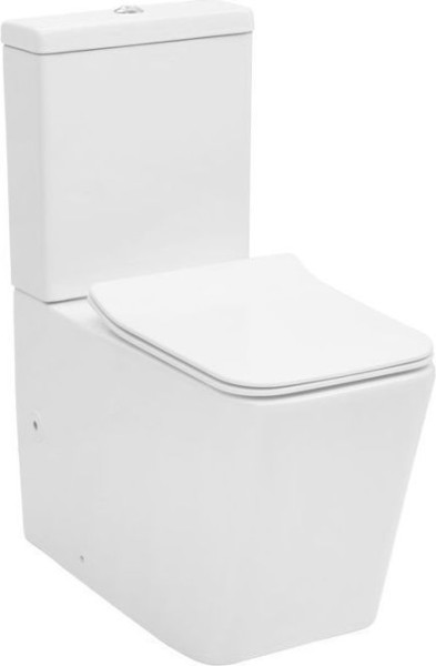 Чаша напольного унитаза Aquanet Rimless Tavr-C1 BL-103N-TPT. Фото 1