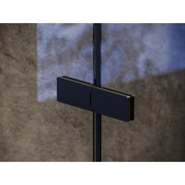 COSD2-100 черный + Транспарент, душевая дверь. Фото 2