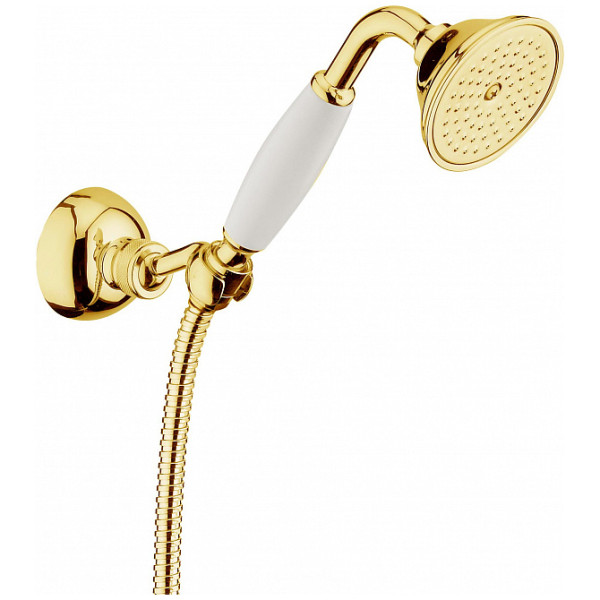 Душевой гарнитур Webert Shower Set AC0704010, золото. Фото 1