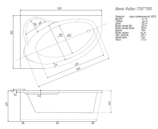 Фиджи 170 прав. пустая с фр.экр.(вклеенный каркас). Фото 4