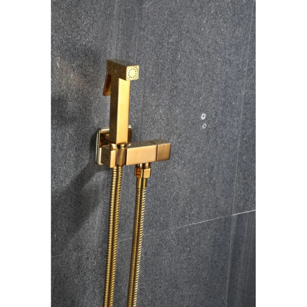 Гигиенический душ без смесителя Savol S-FXQ009B, золото. Фото 1