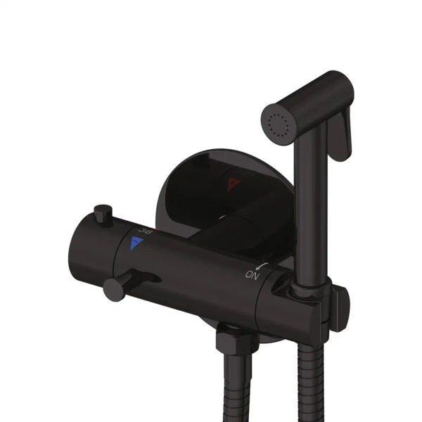 Гигиенический душ с термостатом Rose R915H, черный. Фото 1