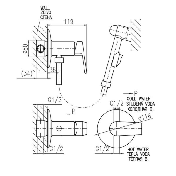 Гигиенический душ со смесителем Rav Slezak COLORADO CO247, хром. Фото 2