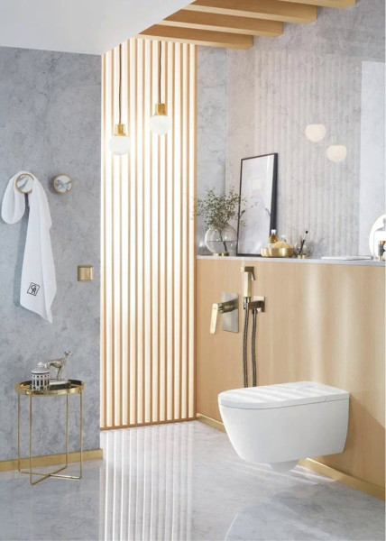 Гигиенический душ со смесителем Rose R1605Q, бронза. Фото 3