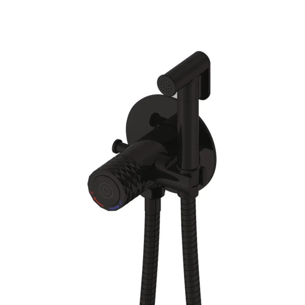 Гигиенический душ со смесителем Rose R225H, черный. Фото 1