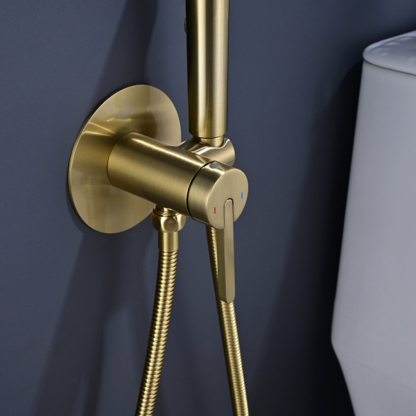 Гигиенический душ со смесителем Rose R235G, золотой сатин. Фото 3