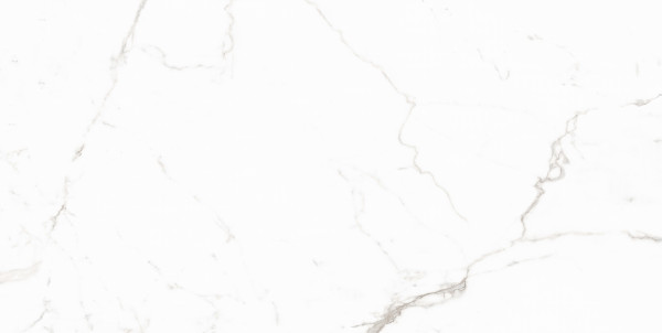 Керамогранит Maimoon Ceramica Carving 12053R 120х60 см. Фото 1