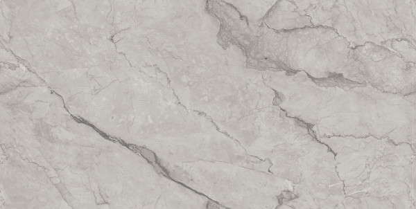 Керамогранит Maimoon Ceramica Carving Romero grey 120х60 см. Фото 1