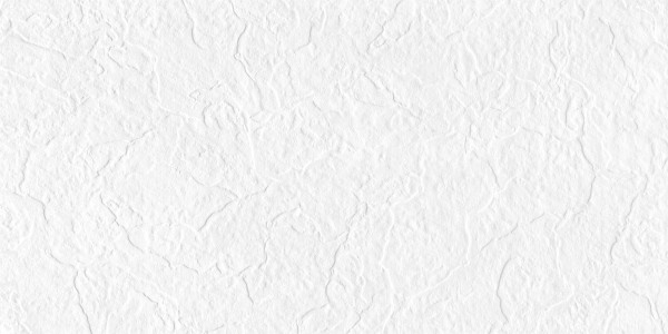 Керамогранит Maimoon Ceramica Full Body snow white punch 120х60 см. Фото 1