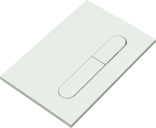 Клавиша смыва Allen Brau Project Color 9.2PR01.MT мятный. Фото 1