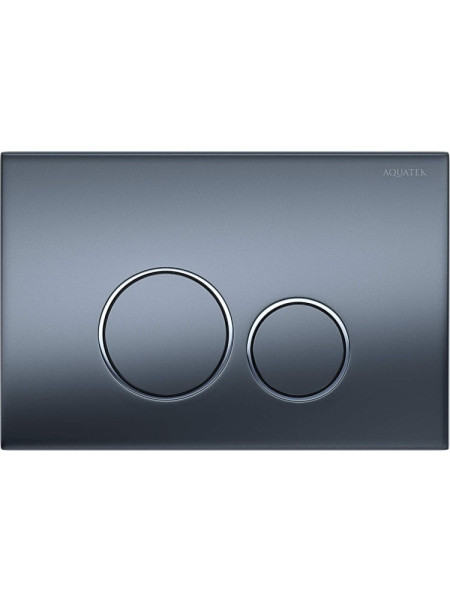 PNS-0000014 (005C-1Q) Панель смыва Оружейная сталь матовая для INSP-0000001 Pneumo S (клавиши круглые). Фото 1