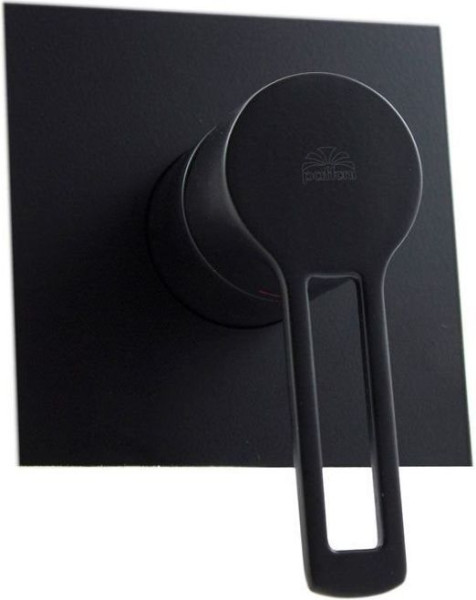 Смеситель для душа Paffoni Ringo RIN010NO/M (с внутренней частью). Фото 1