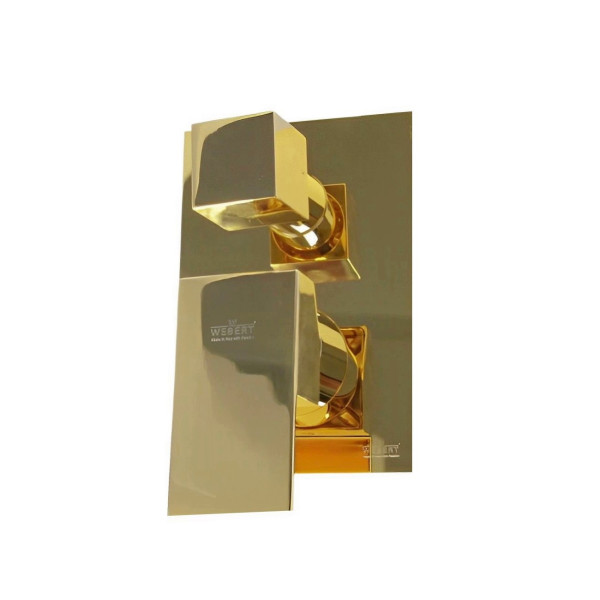 Смеситель для душа встраиваемый Webert Pegaso PE880601010, золото. Фото 1