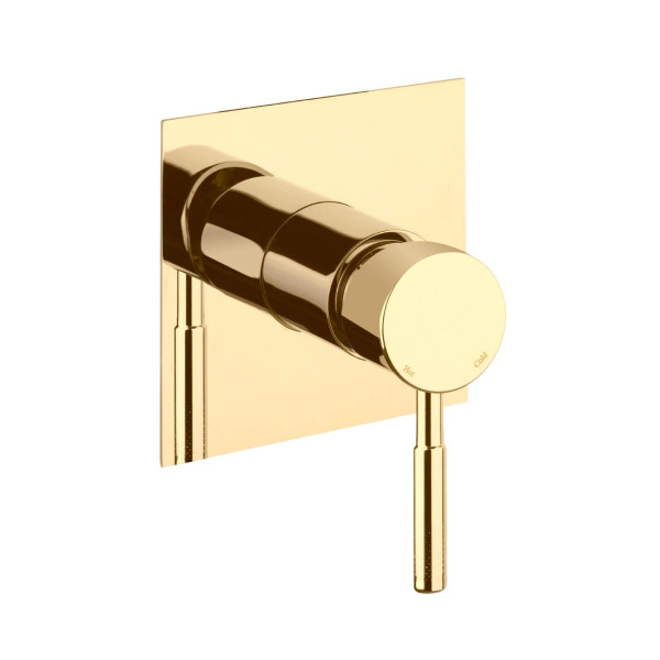 Смеситель для душа встраиваемый Webert Rimini RI880101010, золото. Фото 1