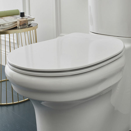 UJAC102-0 Чаша напольного безободкового унитаза. Фото 2