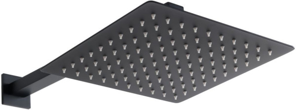 Верхний душ Allen Brau Infinity 5.21019-31 черный матовый. Фото 1
