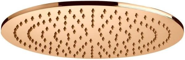 Верхний душ с держателем Paffoni Master King ZSOF079HG + ZSOF034HG. Фото 1