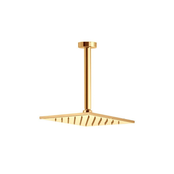 Верхний душ Webert AC0942010, золото. Фото 1