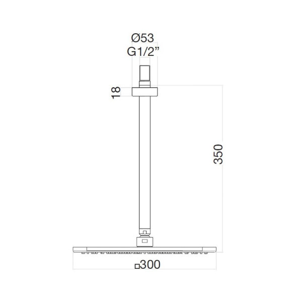 Верхний душ Webert AC0943740, белый. Фото 2