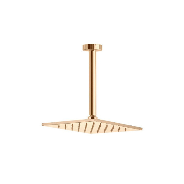 Верхний душ Webert AC0943794, матовое золото. Фото 1